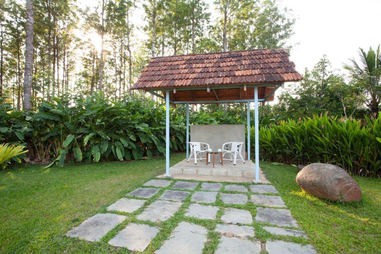 Stayvista At Cedar - Strelitzia 2Bhk With Breakfast And Jacuzzi Chikmagalur Luaran gambar